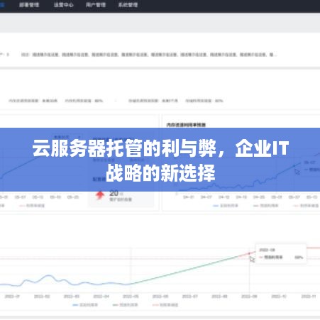 云服务器托管的利与弊，企业IT战略的新选择