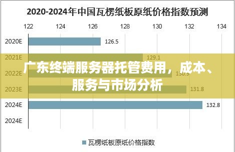 广东终端服务器托管费用，成本、服务与市场分析