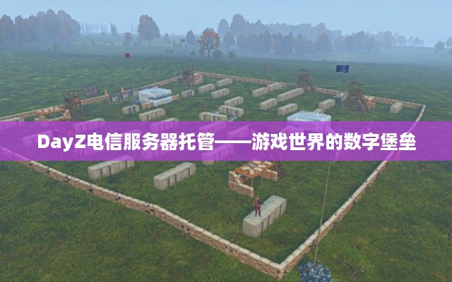 DayZ电信服务器托管——游戏世界的数字堡垒