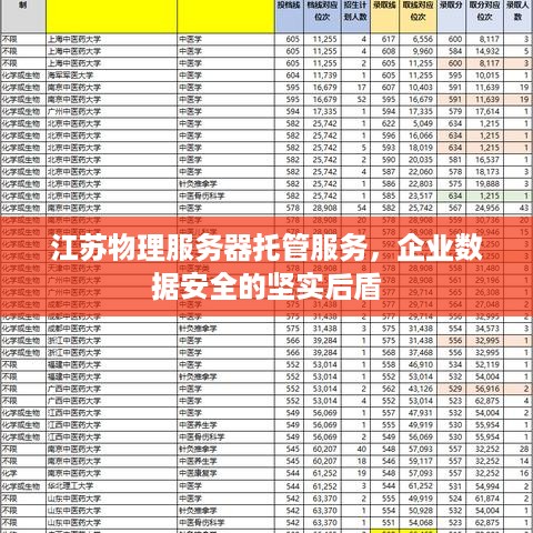 江苏物理服务器托管服务，企业数据安全的坚实后盾