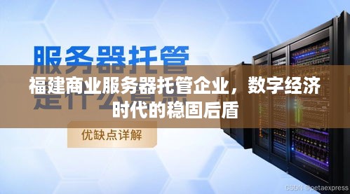 福建商业服务器托管企业，数字经济时代的稳固后盾