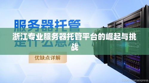 浙江专业服务器托管平台的崛起与挑战