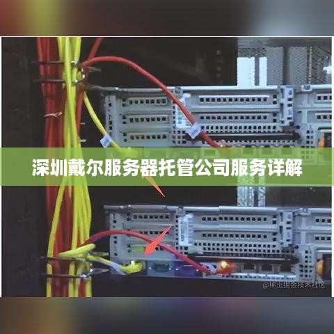 深圳戴尔服务器托管公司服务详解