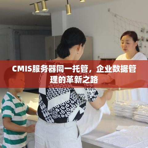 CMIS服务器同一托管，企业数据管理的革新之路