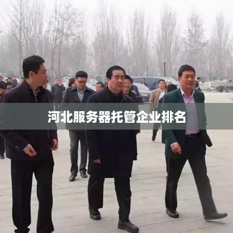 河北服务器托管企业排名