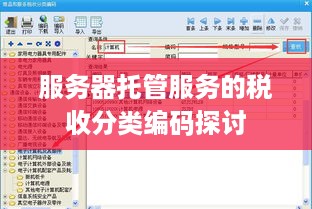 服务器托管服务的税收分类编码探讨