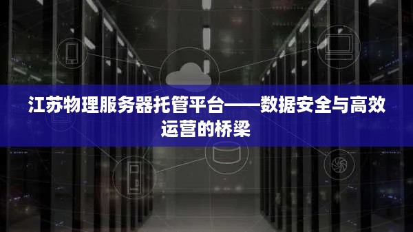 江苏物理服务器托管平台——数据安全与高效运营的桥梁