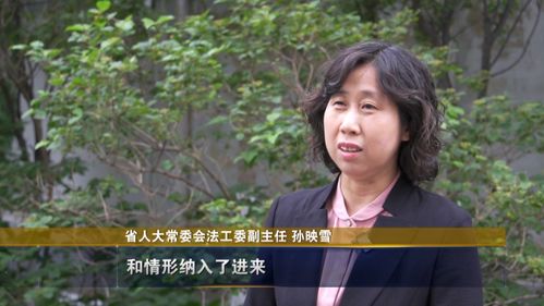 守护网络安全，青岛高防服务器托管服务解析