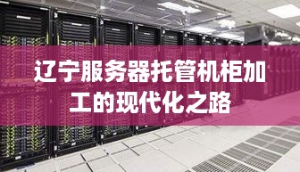 辽宁服务器托管机柜加工的现代化之路