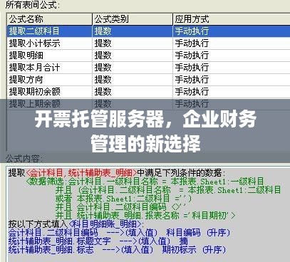 开票托管服务器，企业财务管理的新选择