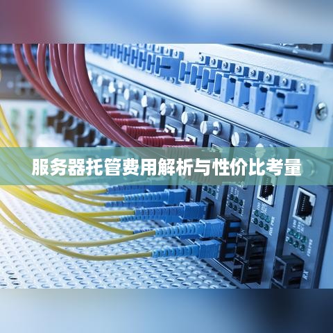 服务器托管费用解析与性价比考量