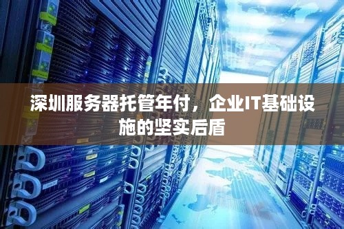 深圳服务器托管年付，企业IT基础设施的坚实后盾