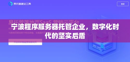 宁波程序服务器托管企业，数字化时代的坚实后盾