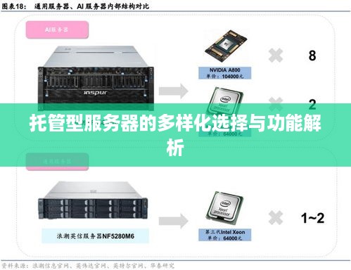 托管型服务器的多样化选择与功能解析