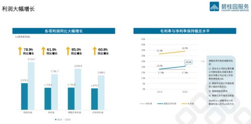 上海托管服务器的优选地点，专业服务与成本效益