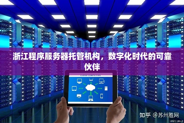浙江程序服务器托管机构，数字化时代的可靠伙伴