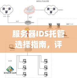 服务器IDS托管选择指南，评估与决策