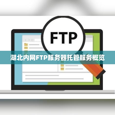 湖北内网FTP服务器托管服务概览