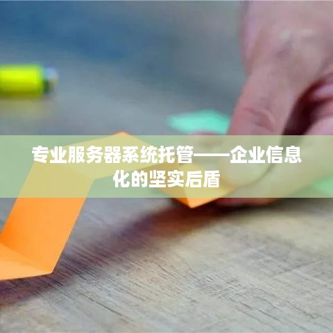 专业服务器系统托管——企业信息化的坚实后盾