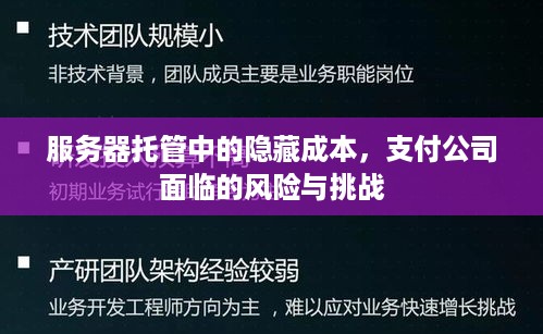 服务器托管中的隐藏成本，支付公司面临的风险与挑战