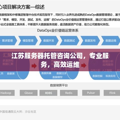 江苏服务器托管咨询公司，专业服务，高效运维