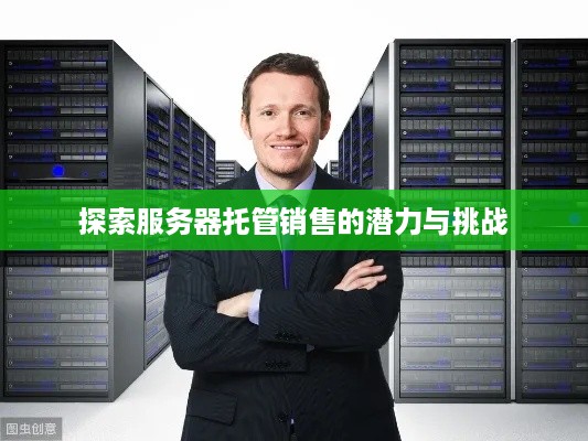 探索服务器托管销售的潜力与挑战