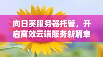 向日葵服务器托管，开启高效云端服务新篇章