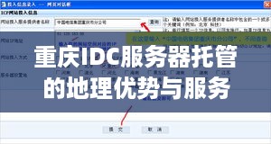 重庆IDC服务器托管的地理优势与服务解析