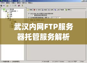 武汉内网FTP服务器托管服务解析