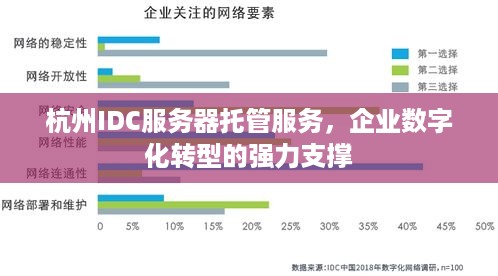 杭州IDC服务器托管服务，企业数字化转型的强力支撑