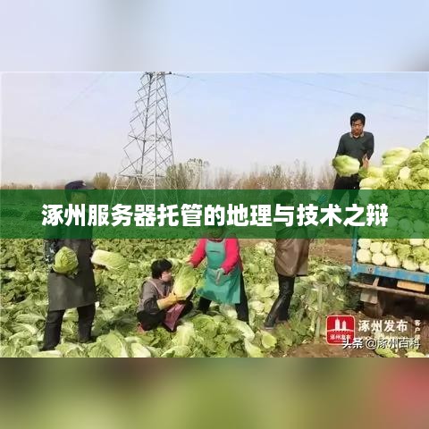 涿州服务器托管的地理与技术之辩