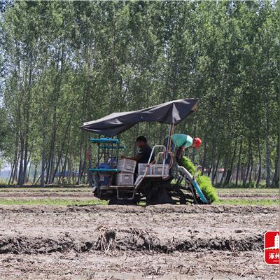 涿州服务器托管的地理与技术之辩