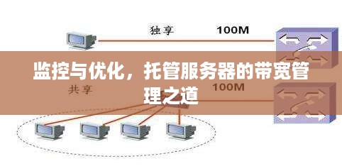 监控与优化，托管服务器的带宽管理之道