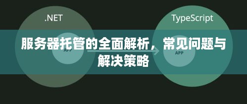 服务器托管的全面解析，常见问题与解决策略