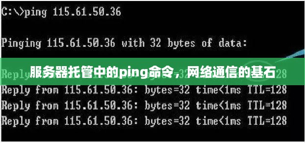服务器托管中的ping命令，网络通信的基石