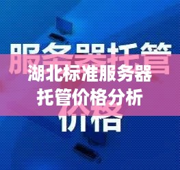 湖北标准服务器托管价格分析