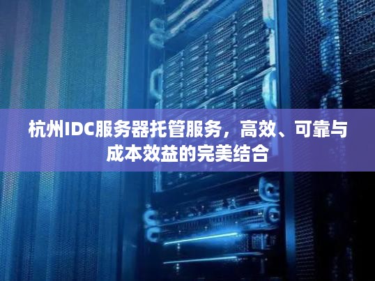 杭州IDC服务器托管服务，高效、可靠与成本效益的完美结合