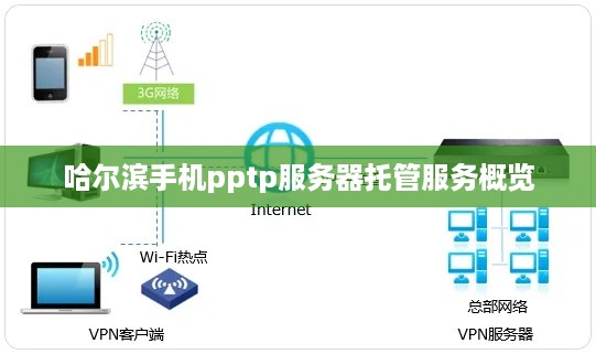 哈尔滨手机pptp服务器托管服务概览