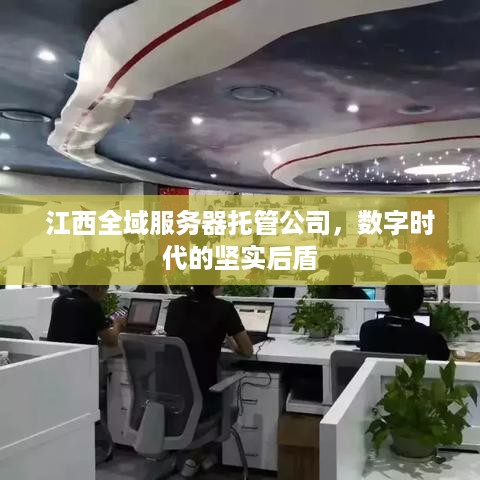 江西全域服务器托管公司，数字时代的坚实后盾