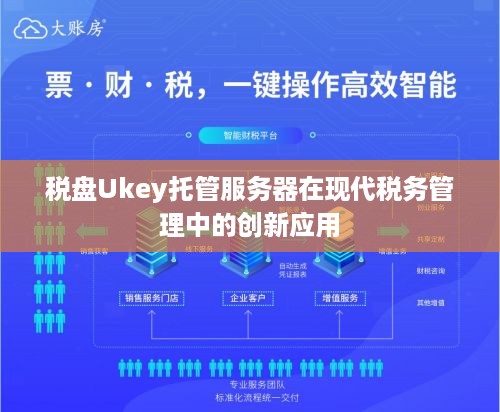 税盘Ukey托管服务器在现代税务管理中的创新应用