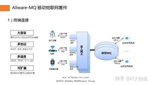 探索托管服务器的奥秘，进入与管理的艺术