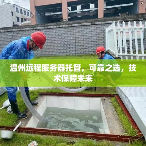 温州远程服务器托管，可靠之选，技术保障未来