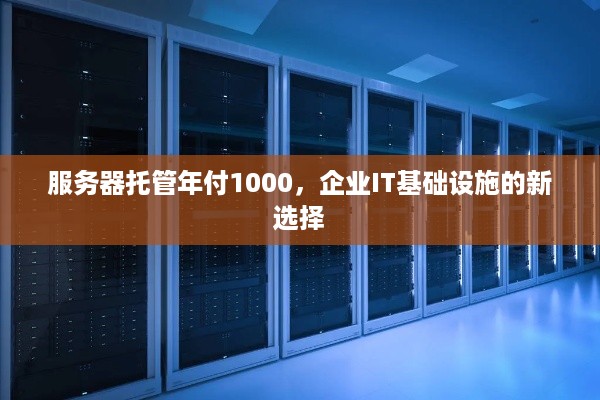 服务器托管年付1000，企业IT基础设施的新选择