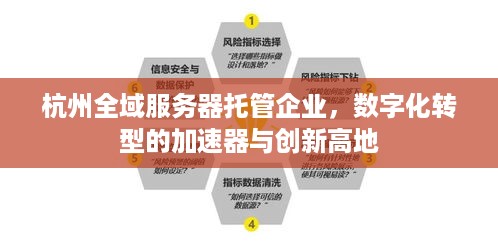 杭州全域服务器托管企业，数字化转型的加速器与创新高地