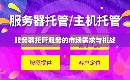 服务器托管服务的市场需求与挑战