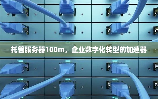 托管服务器100m，企业数字化转型的加速器