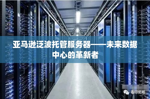 亚马逊泛波托管服务器——未来数据中心的革新者