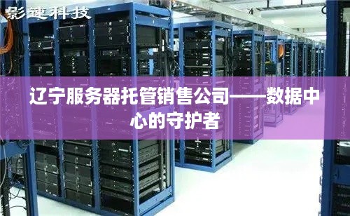 辽宁服务器托管销售公司——数据中心的守护者