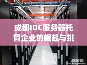 成都IDC服务器托管企业的崛起与挑战