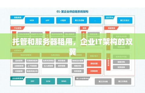 托管和服务器租用，企业IT架构的双翼